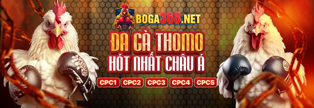 Đá Gà Trực Tuyến Hấp Dẫn Tại Kèo Nhà Cái.5